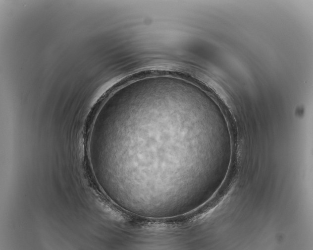 X0000094350829200711091450