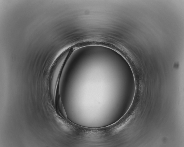 X0000094350830200711091450