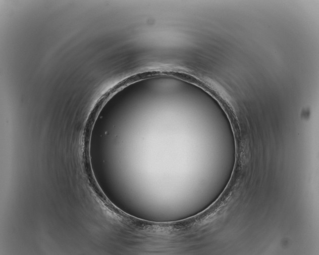 X0000094350831200711091450