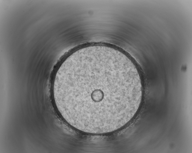 X0000094350832200711091450