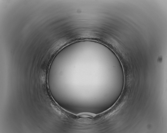 X0000094350833200711091450