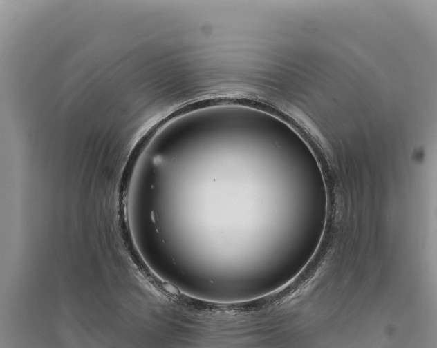 X0000094350834200711091450