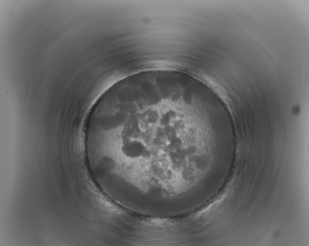 X0000094350835200711091450