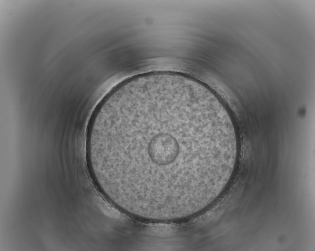 X0000094350836200711091450