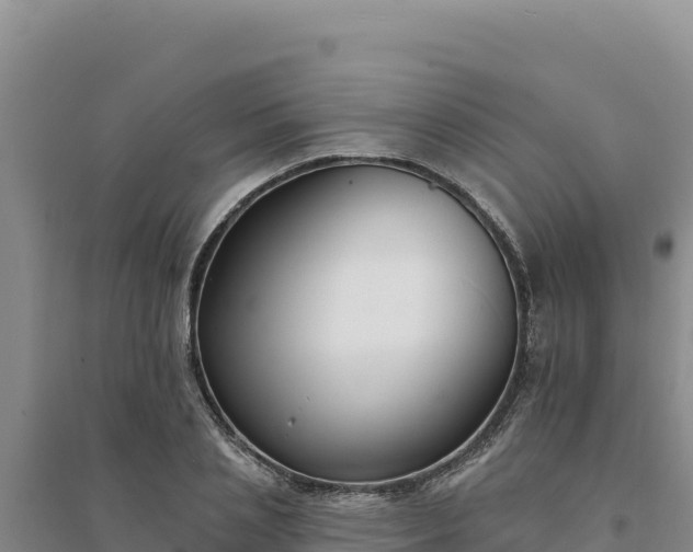 X0000094350837200711091450