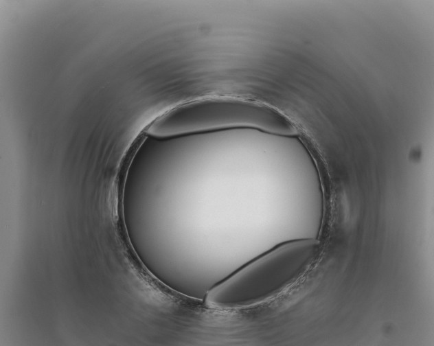 X0000094350838200711091450