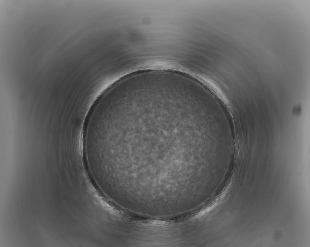 X0000094350839200711091450