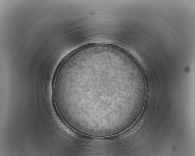 X0000094350840200711091450