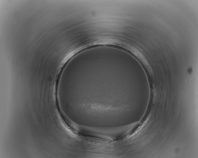 X0000094350842200711091450