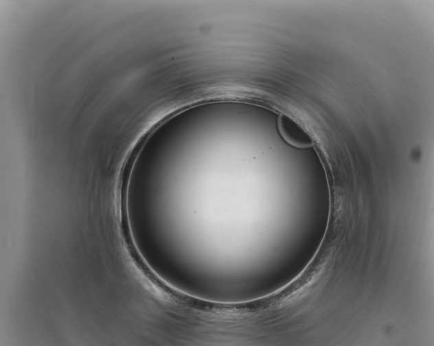 X0000094350843200711091450