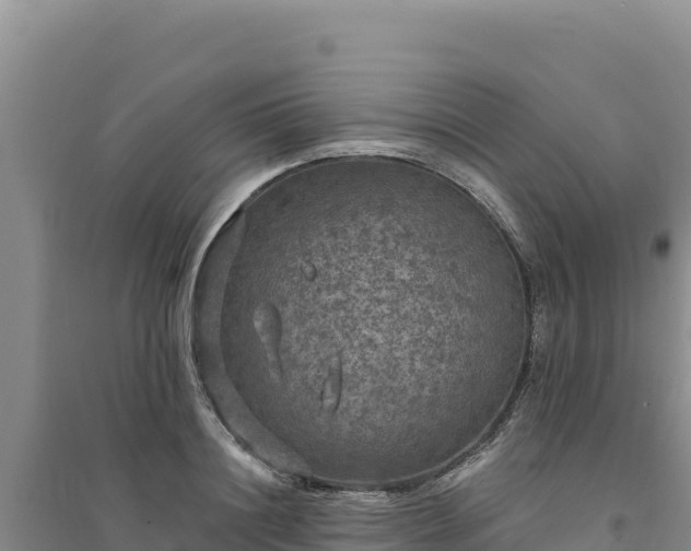 X0000094350844200711091450