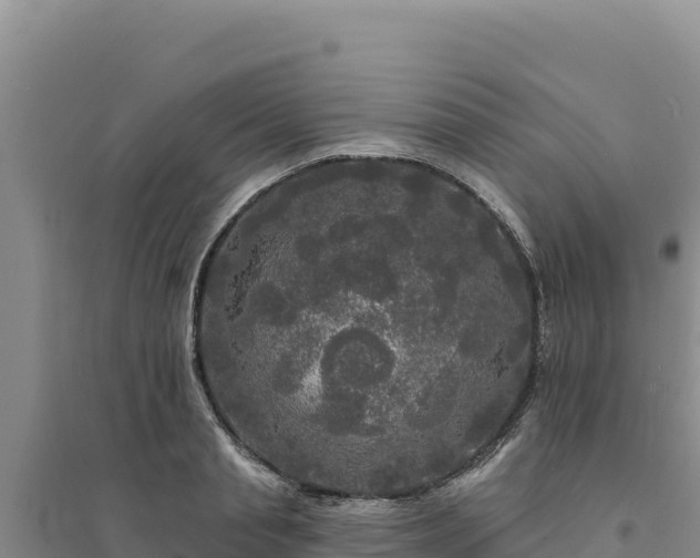 X0000094350845200711091450