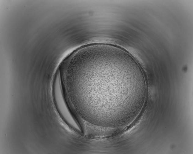 X0000094350846200711091450