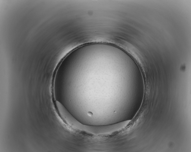 X0000094350847200711091450