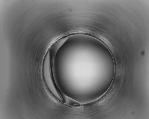 X0000094350850200711091451