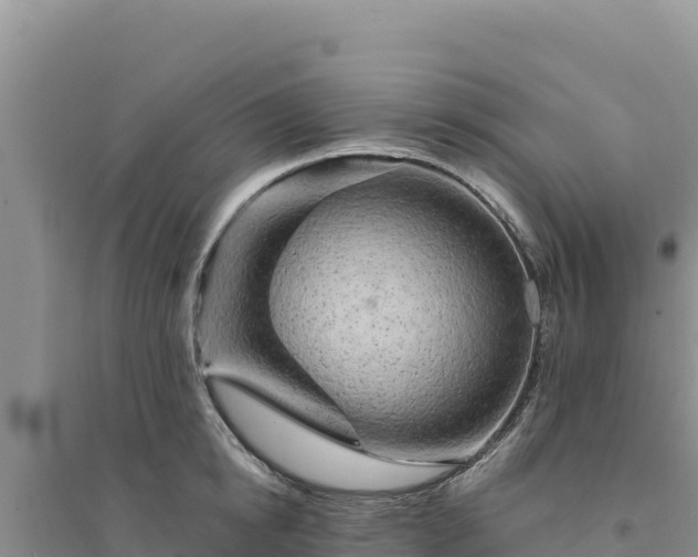 X0000094350854200711091451