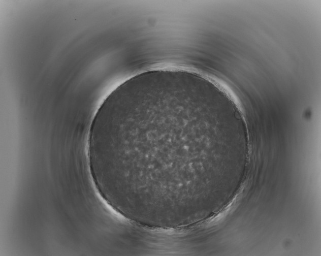 X0000094350855200711091451