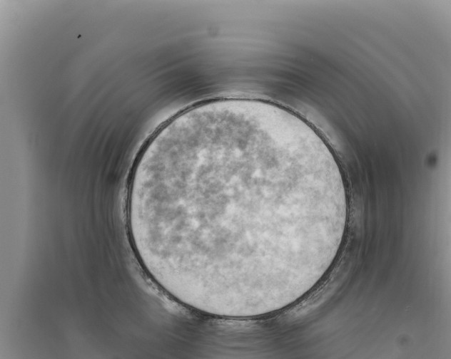 X0000094350856200711091451