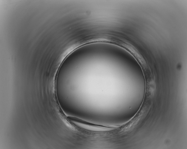 X0000094350858200711091451