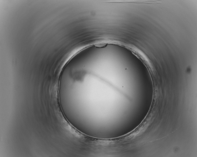 X0000094350860200711091451