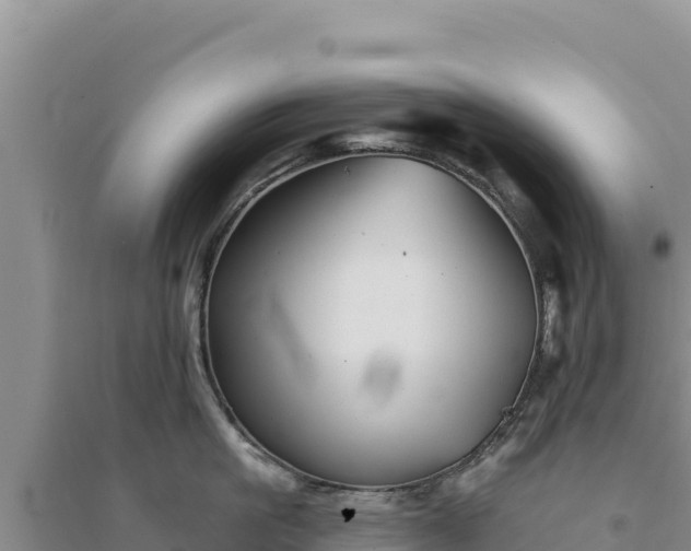 X0000094350861200711091451