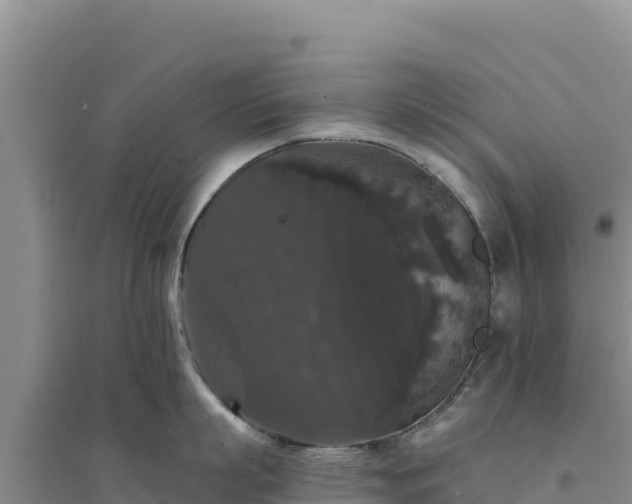 X0000094350863200711091451