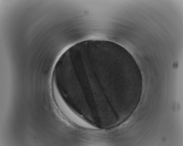 X0000094350864200711091451