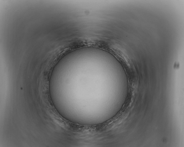 X0000094350865200711091450