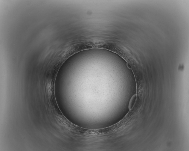 X0000094350866200711091450