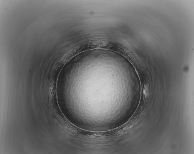 X0000094350867200711091450