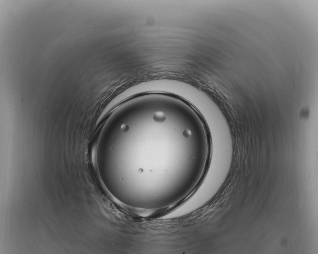 X0000094350868200711091450