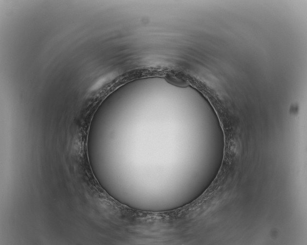 X0000094350869200711091450