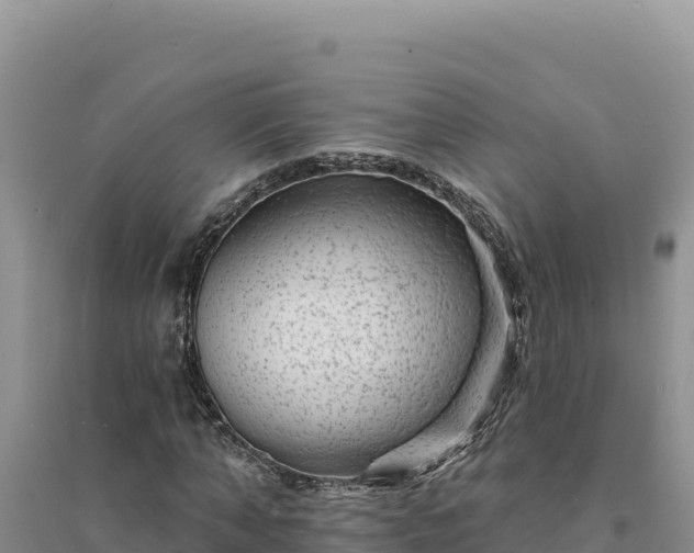 X0000094350870200711091450