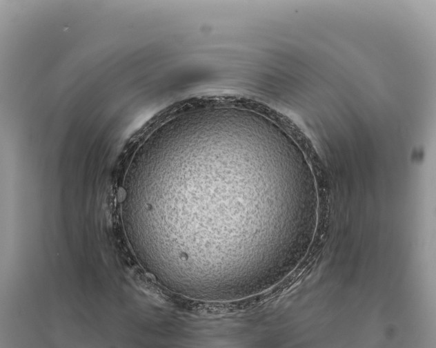 X0000094350871200711091450