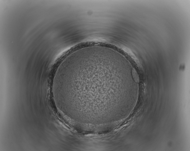 X0000094350872200711091450