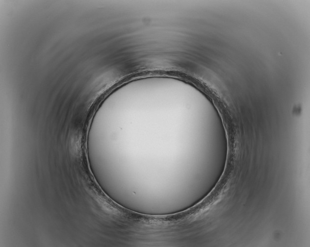 X0000094350873200711091450