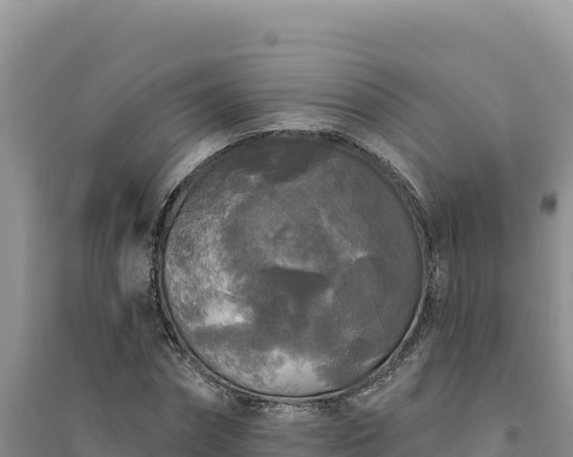 X0000094350874200711091450