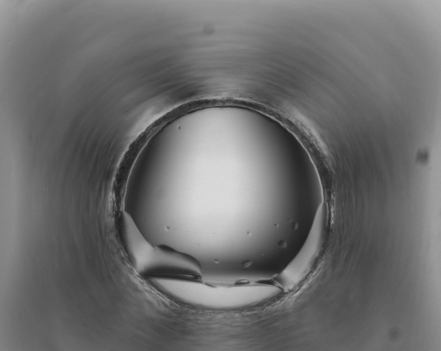 X0000094350876200711091450