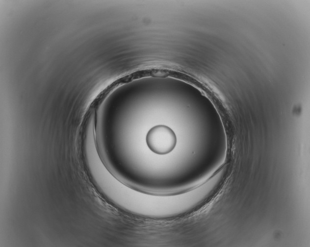 X0000094350877200711091450