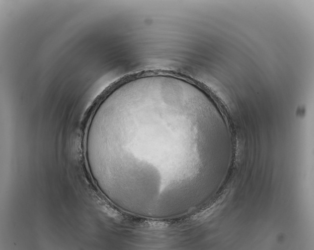 X0000094350878200711091450