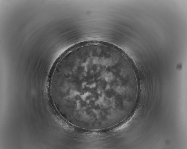 X0000094350879200711091450