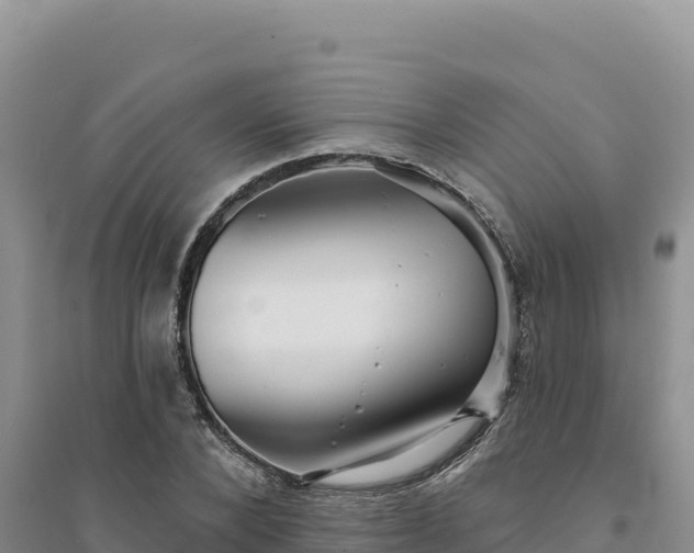 X0000094350880200711091450