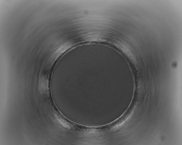 X0000094350881200711091450