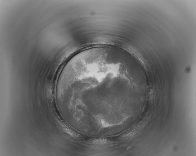 X0000094350882200711091450