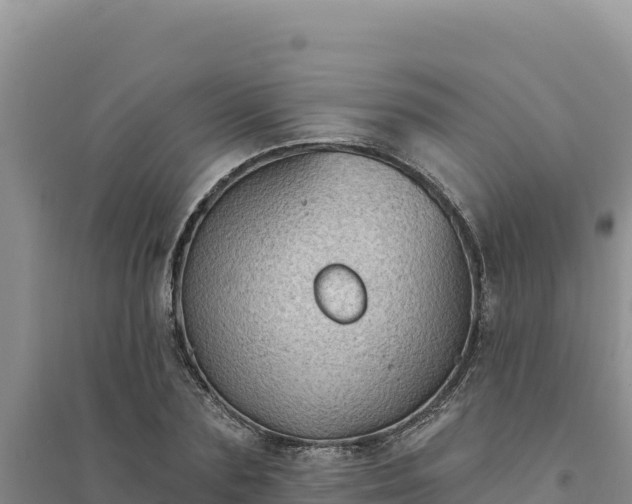 X0000094350883200711091450