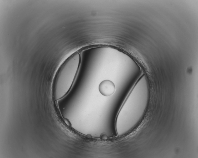 X0000094350884200711091450