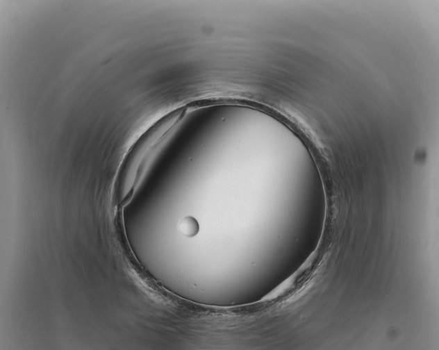 X0000094350885200711091450