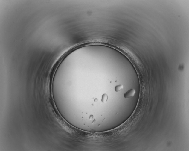 X0000094350886200711091450