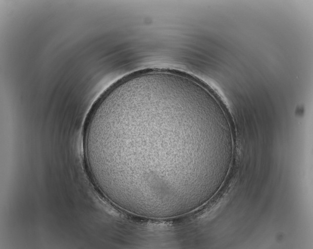 X0000094350887200711091450