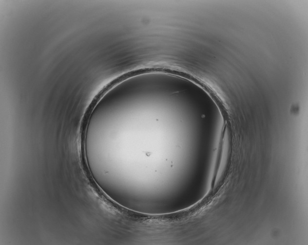 X0000094350888200711091450